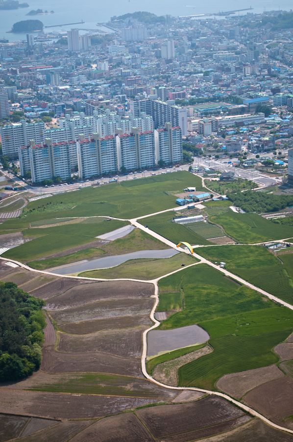 _D154164.jpg