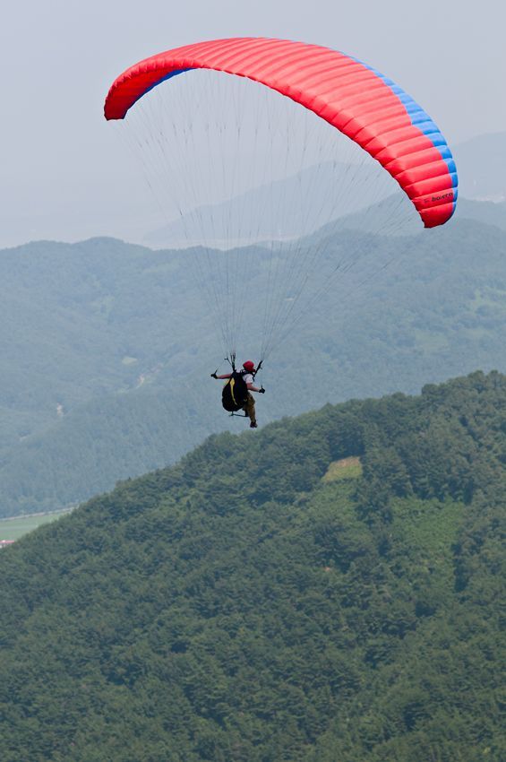 _D304241.jpg