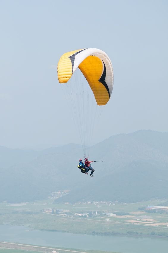 _D304205.jpg