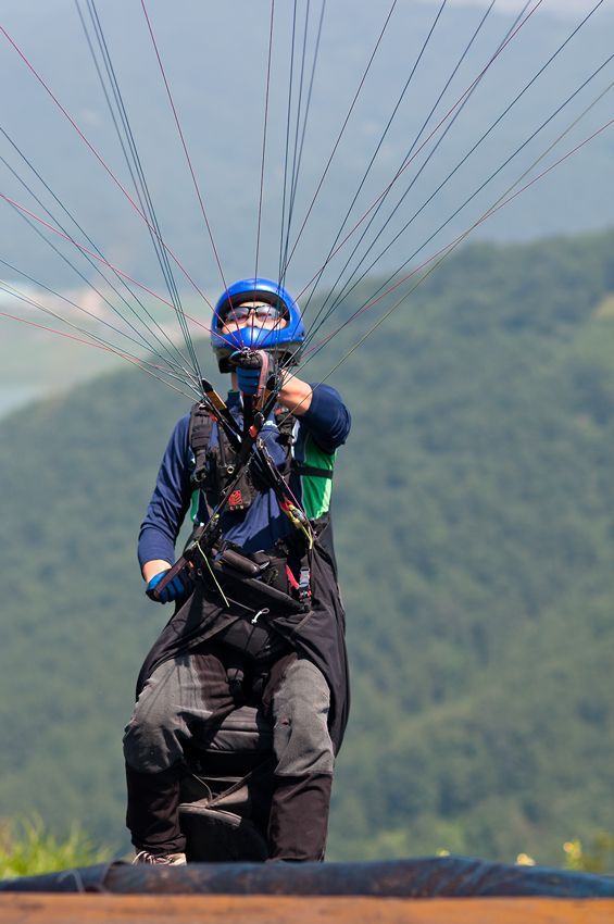 _D304226.jpg