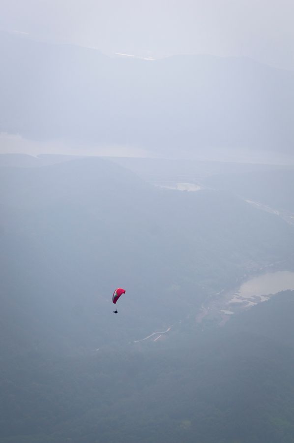 _D303209.jpg