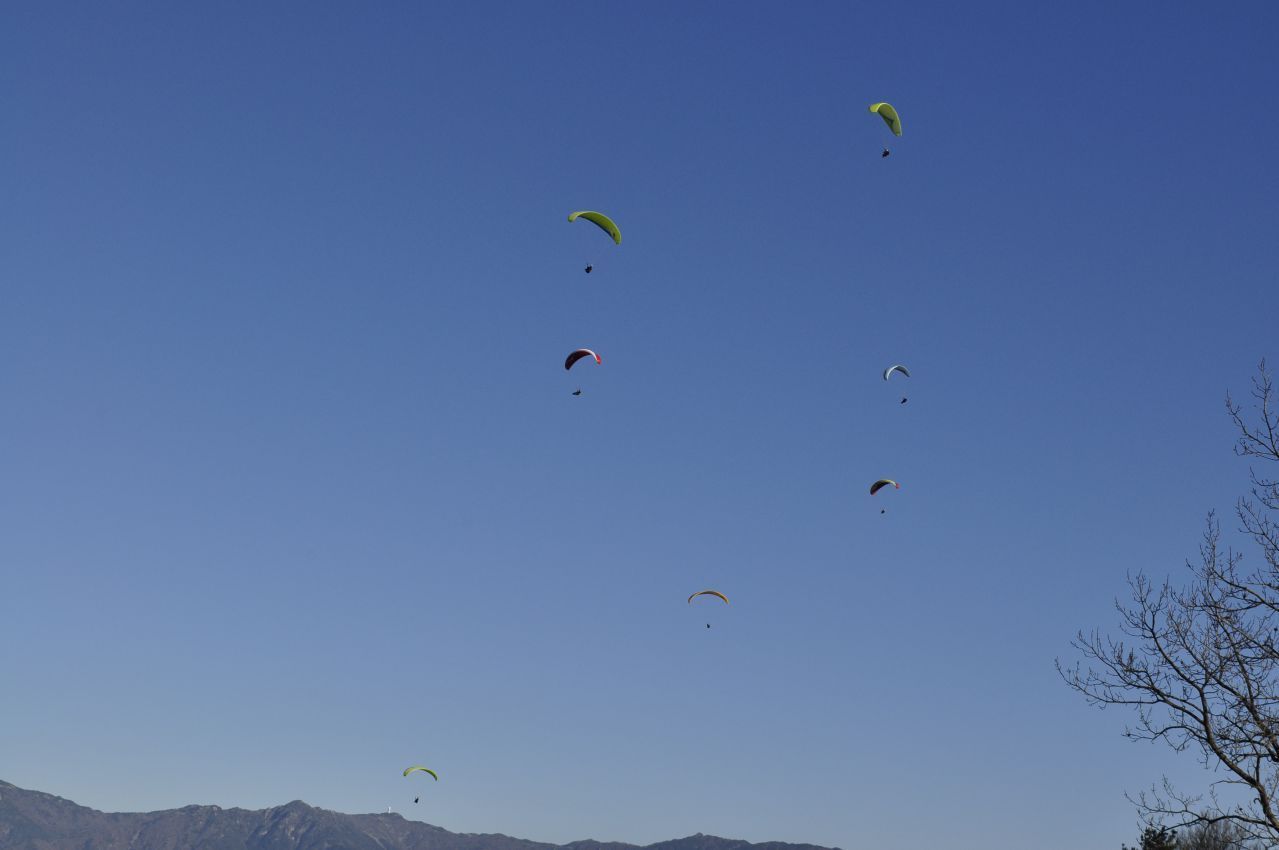 _DSC0079.JPG