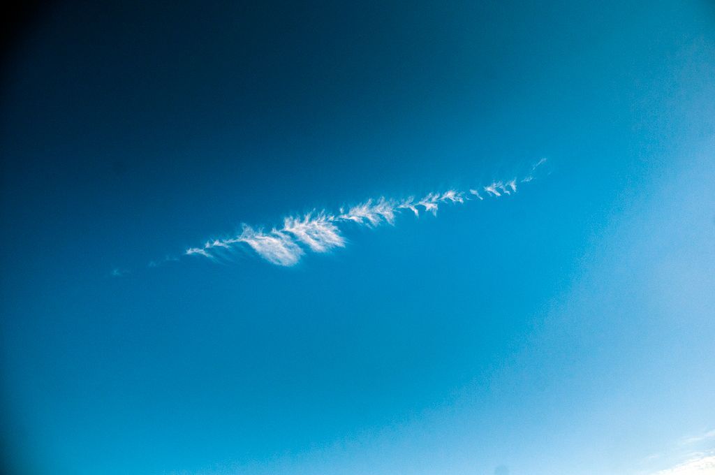 _D150989.jpg