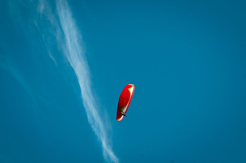 _D151039.jpg