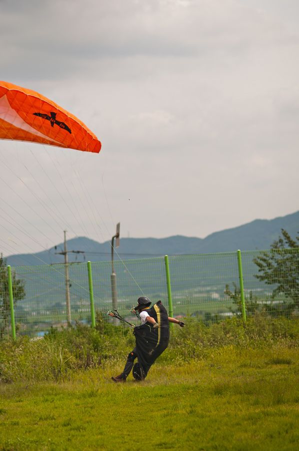 _D305577.jpg