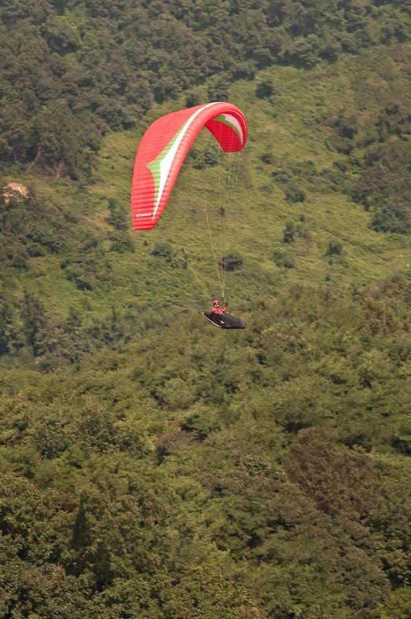 _D305559.jpg