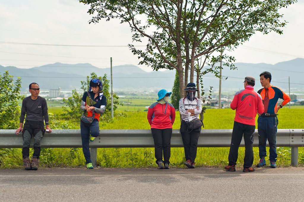 _D305477.jpg