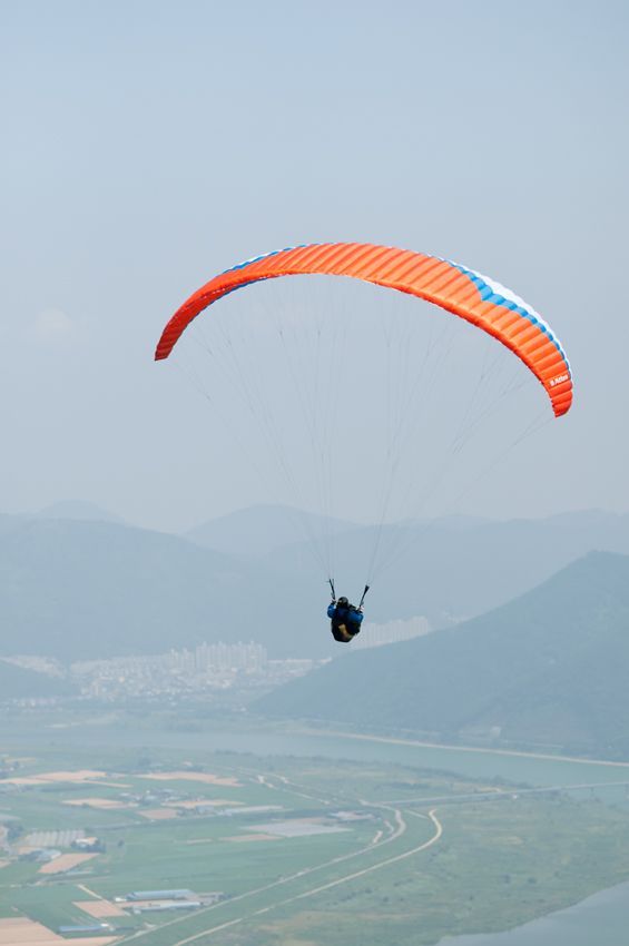 _D304266.jpg