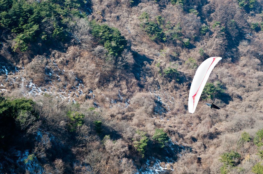 _D152066.jpg