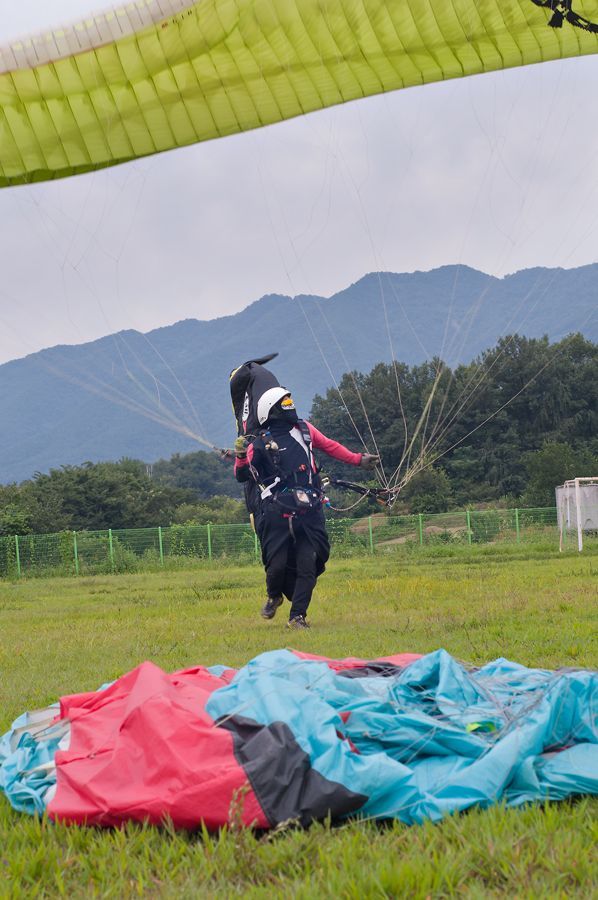 _D305710.jpg