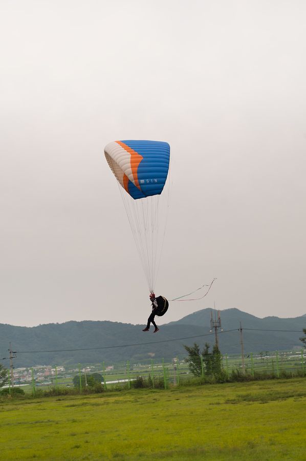 _D305689.jpg