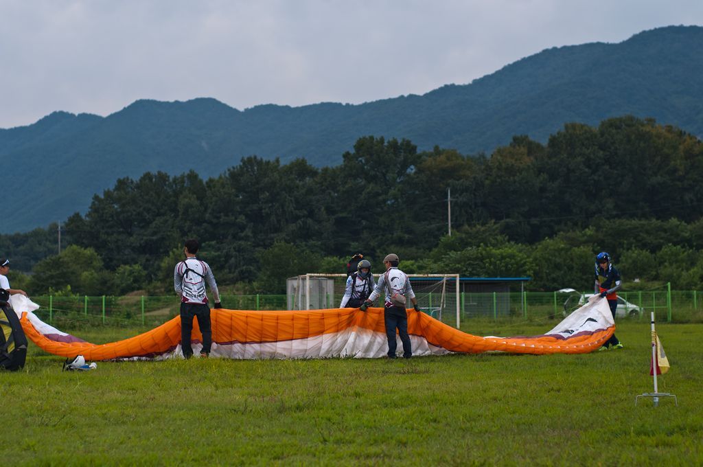 _D305717.jpg