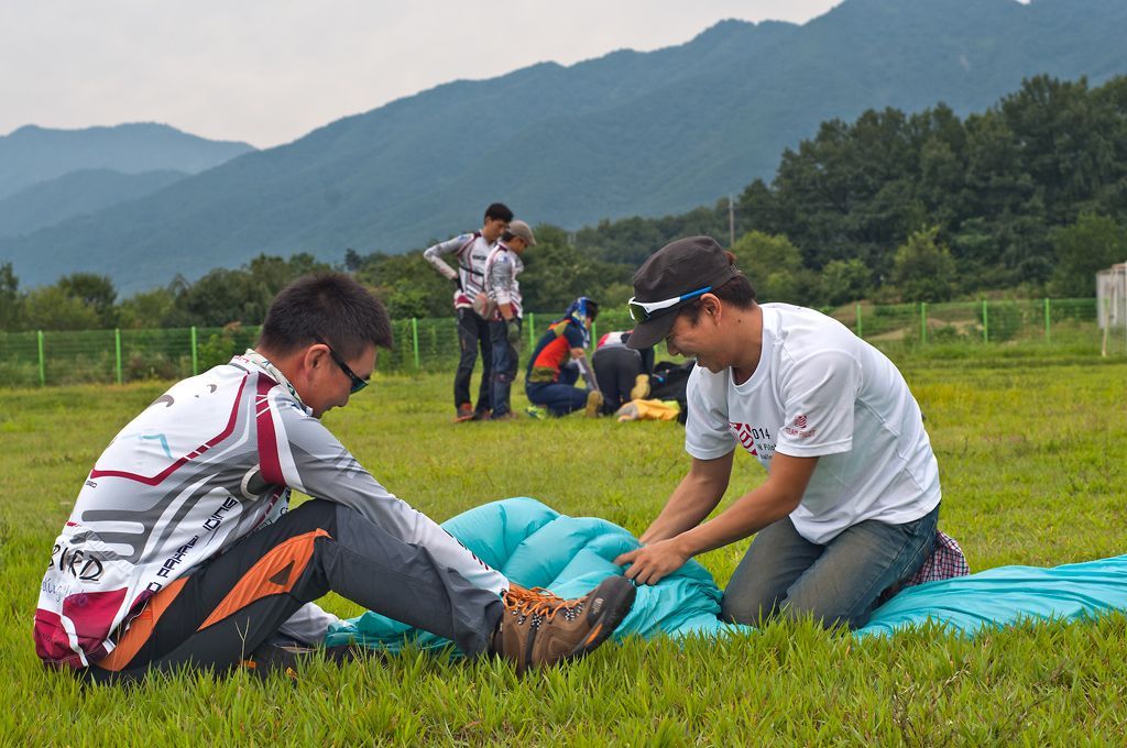 _D305712.jpg