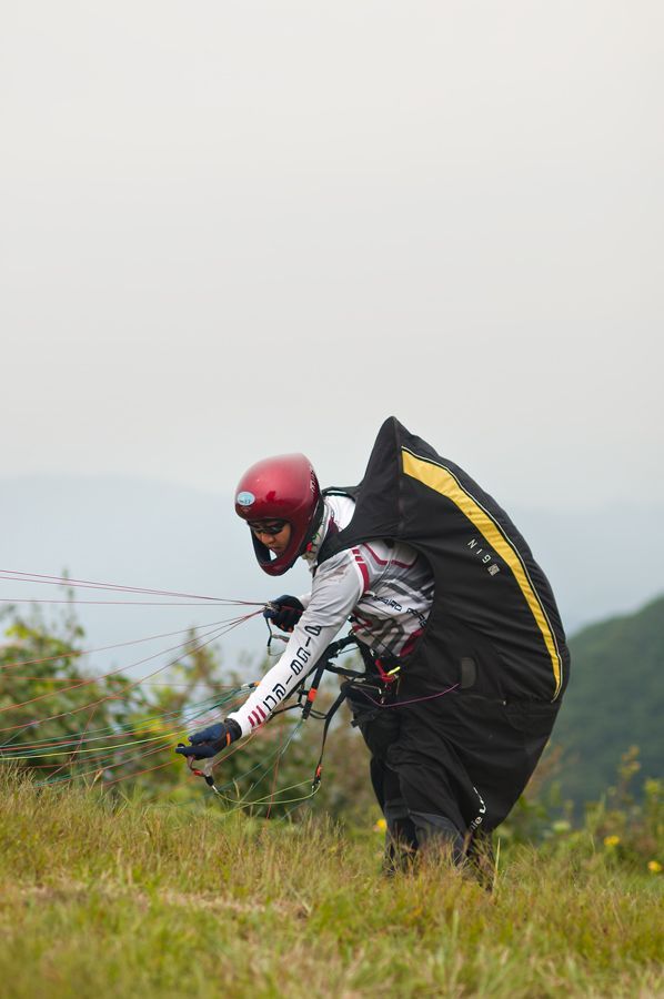 _D305634.jpg