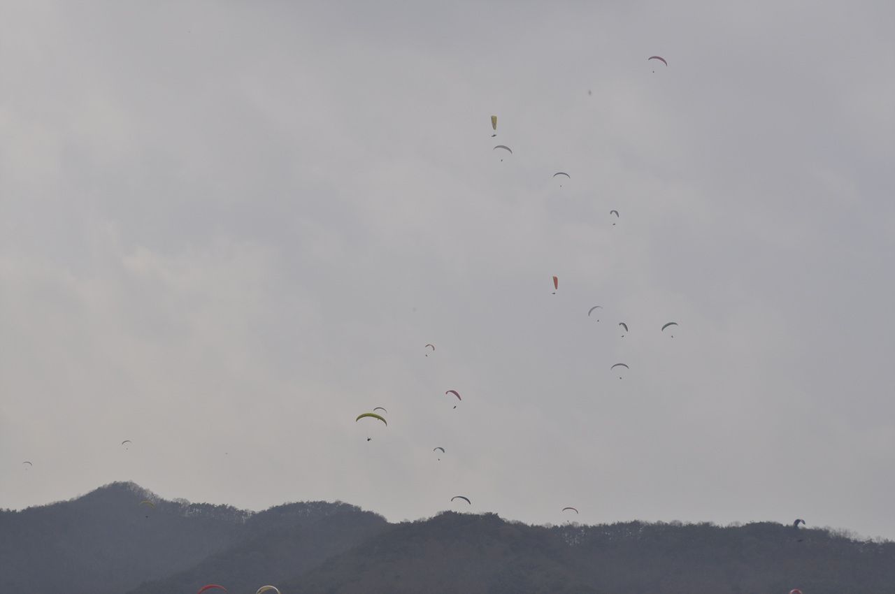 _DSC0073.jpg