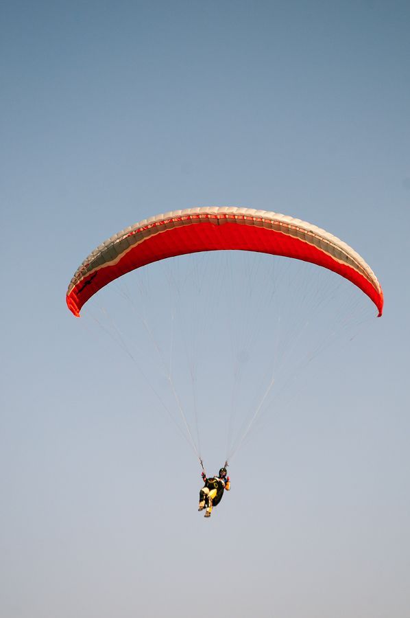 _D308547.jpg