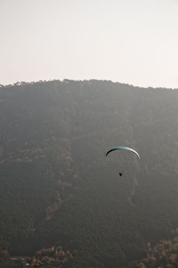 _D308529.jpg