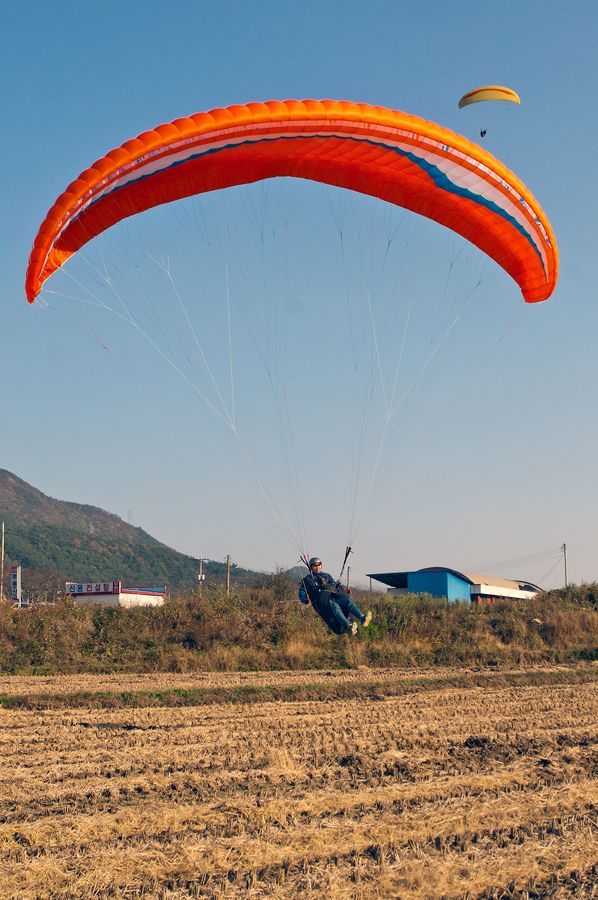 _D308541.jpg