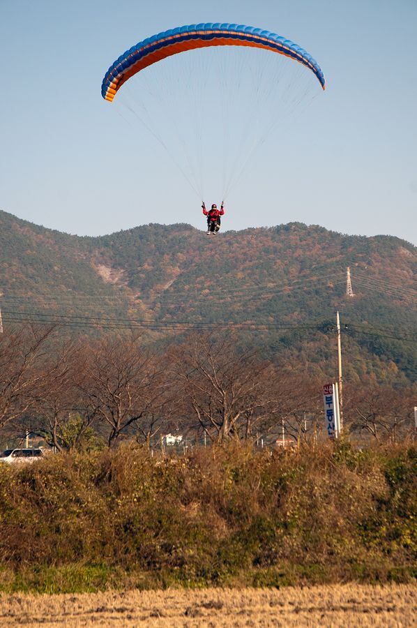 _D308570.jpg