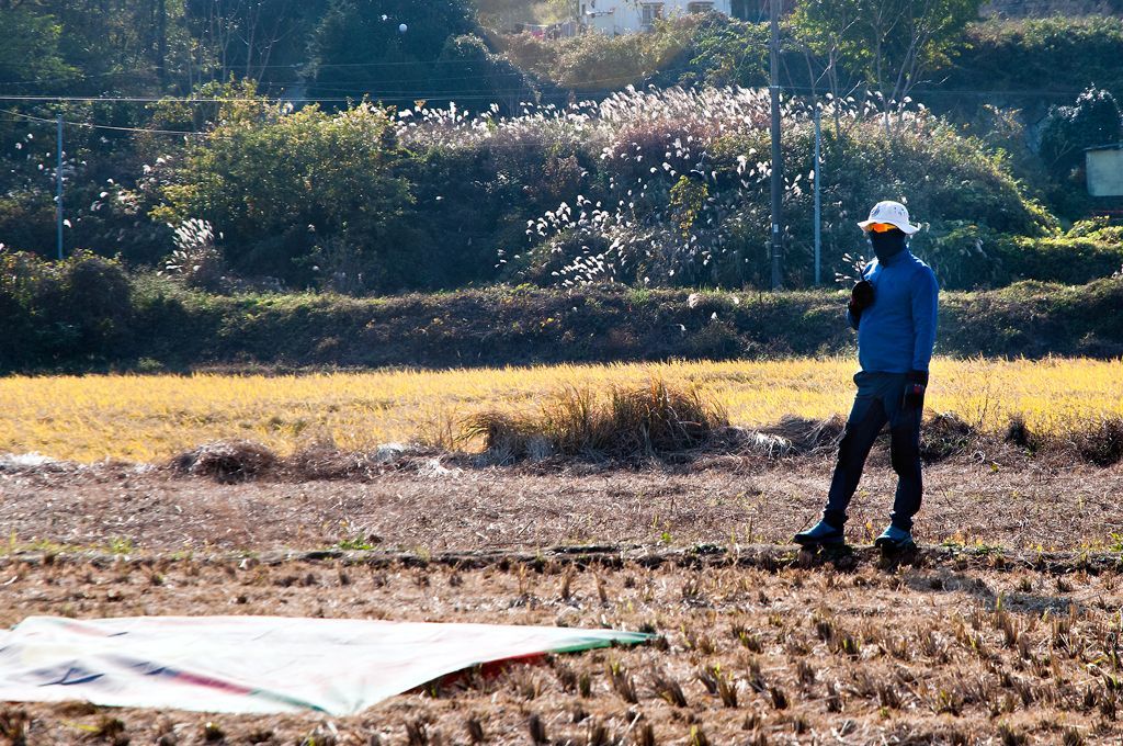 _D308544.jpg