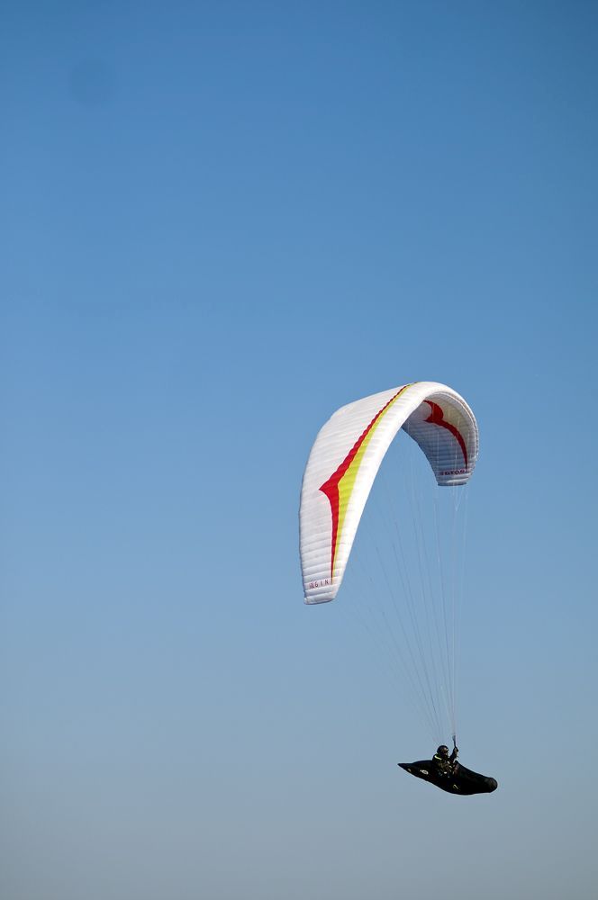 _D151851.jpg