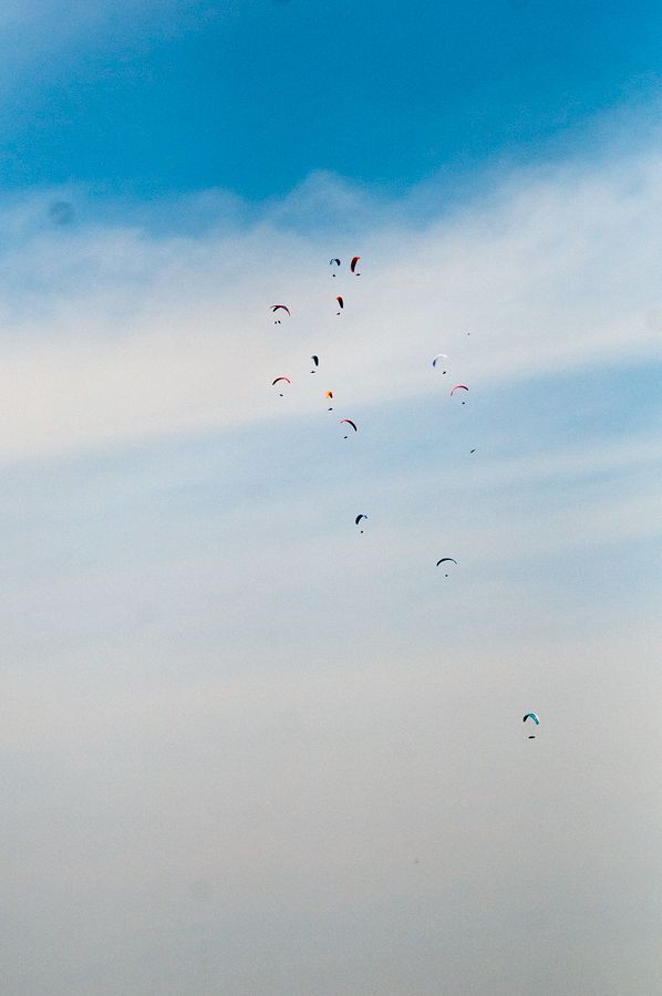 _D152107.jpg