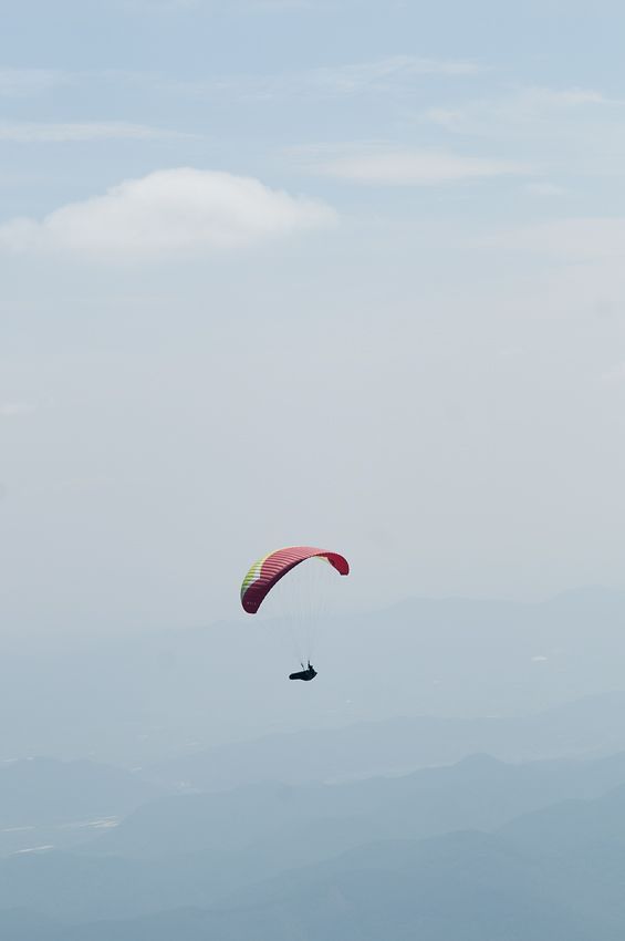 _D304360.jpg