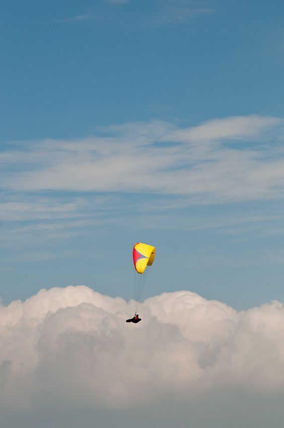 _D304364.jpg