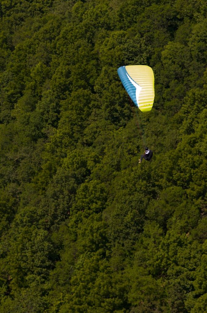 _D302314.jpg