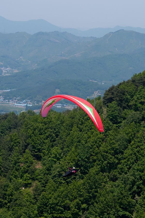 _D302360.jpg