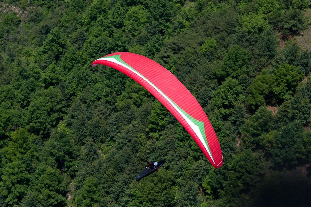 _D302346.jpg