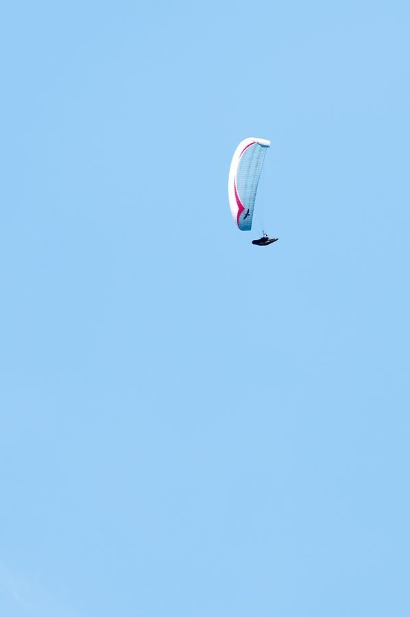 _D302378.jpg