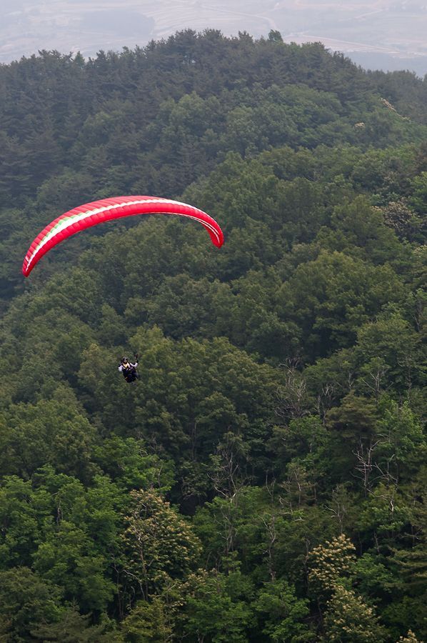 _D303088.jpg