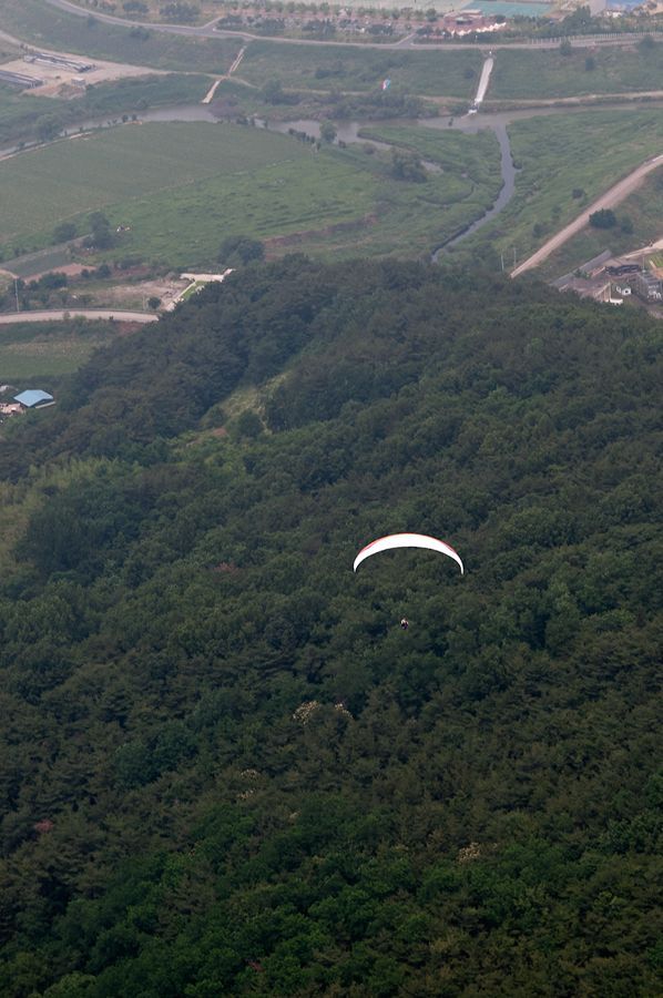 _D303099.jpg
