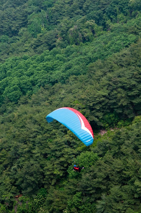 _D303065.jpg