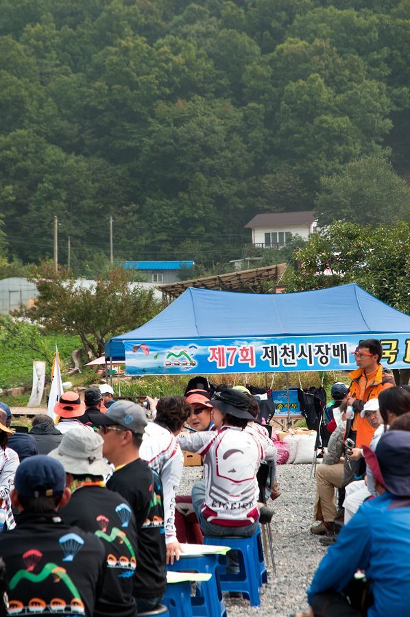 _D306331.jpg