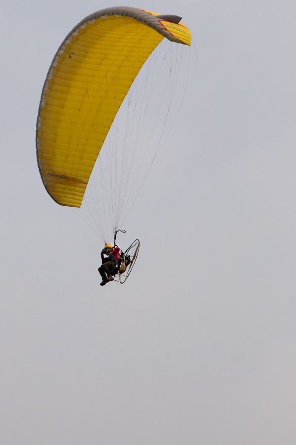 _D306329.jpg