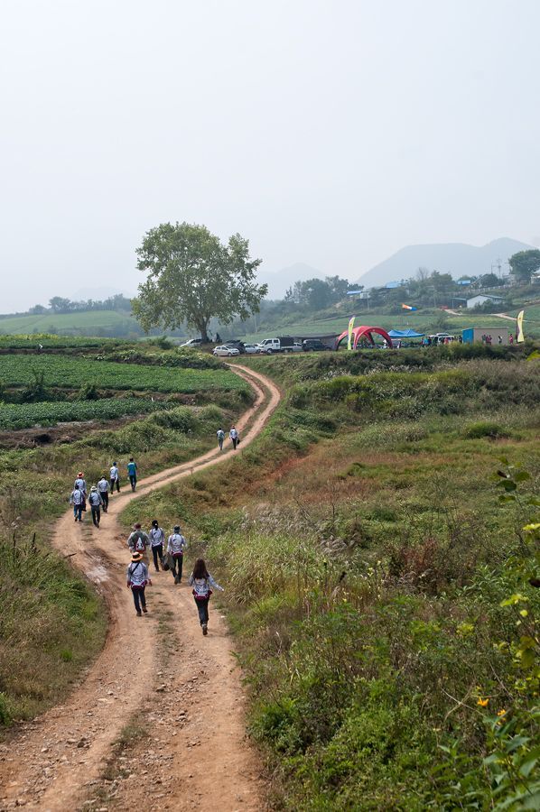 _D306369.jpg