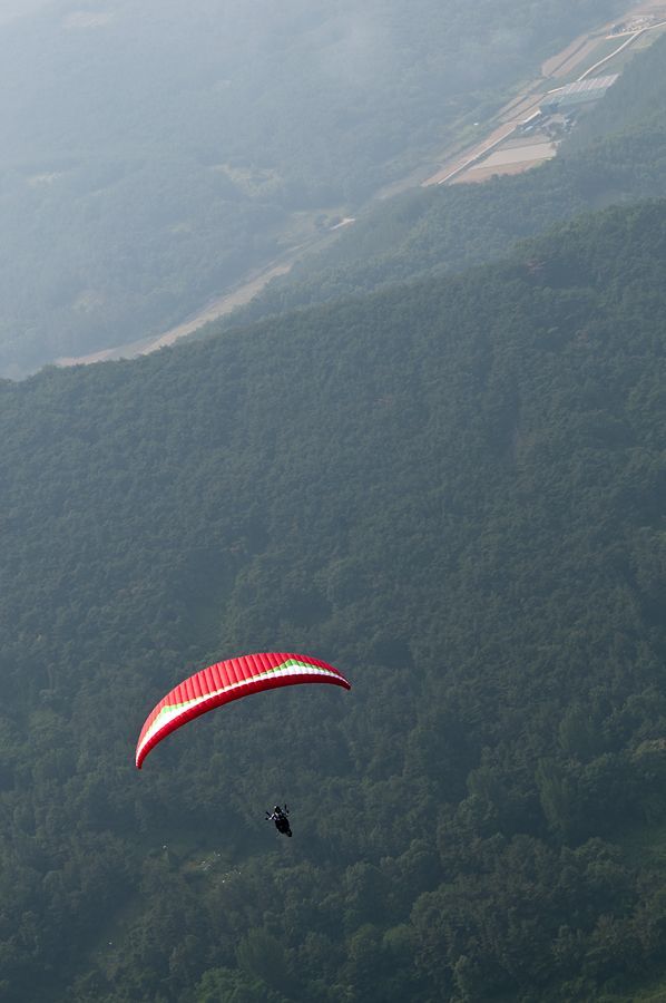 _D303195.jpg