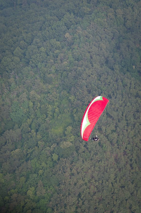 _D303218.jpg