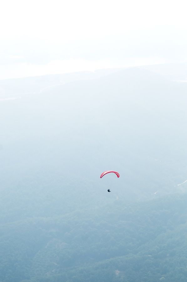 _D303210.jpg