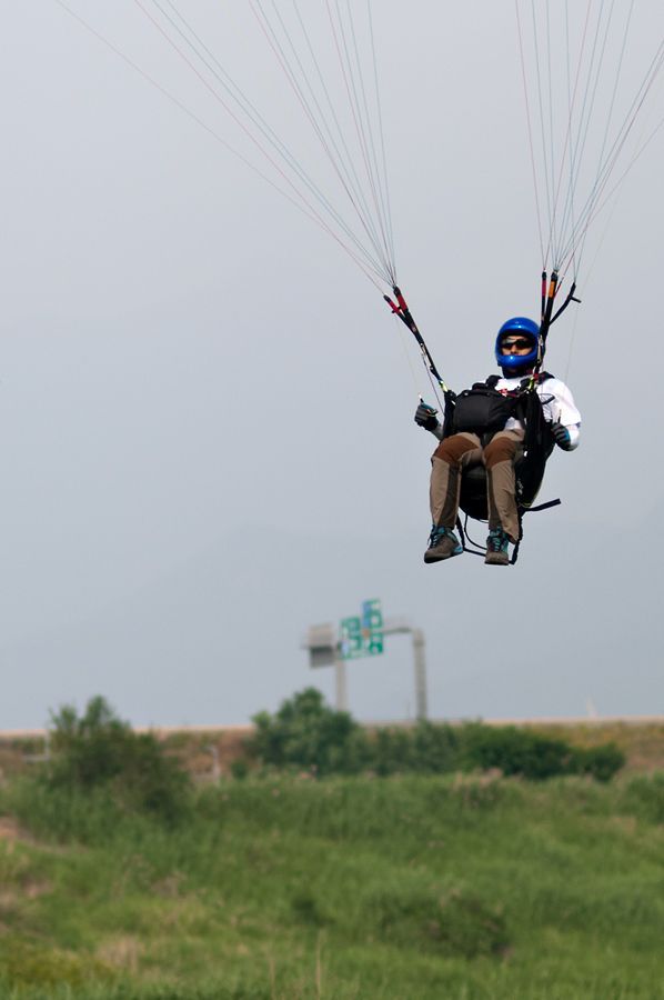 _D303257.jpg