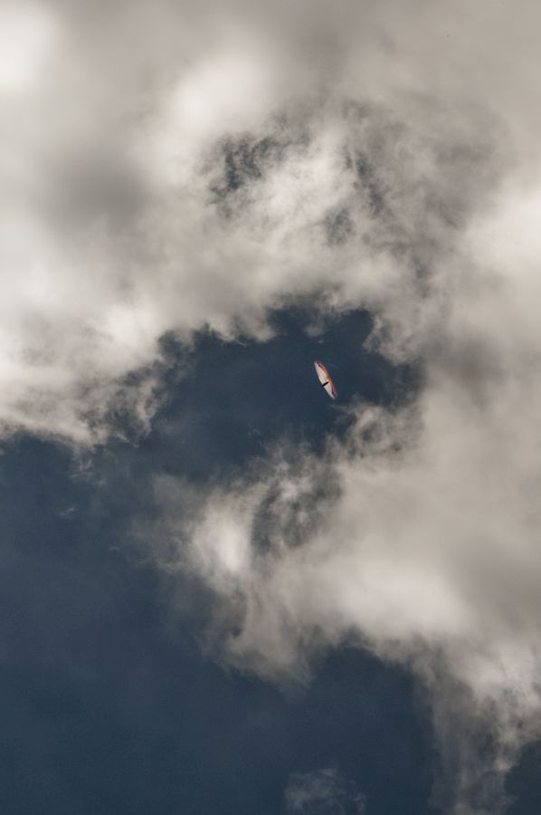 _D156362.jpg