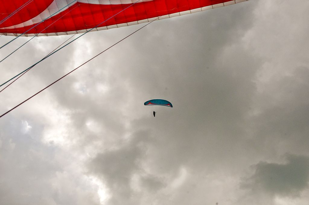 _D156463.jpg
