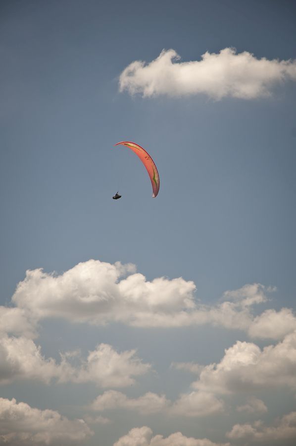 _D156404.jpg