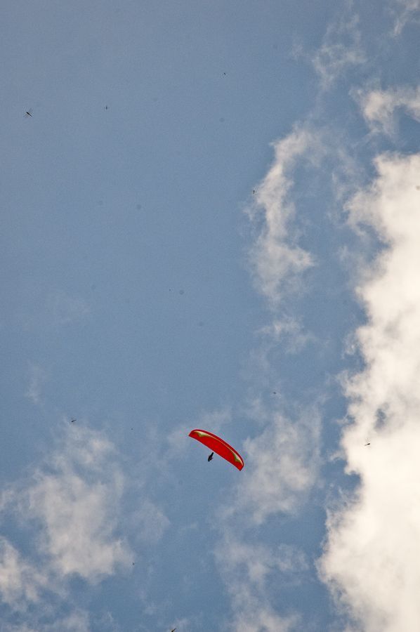_D156477.jpg