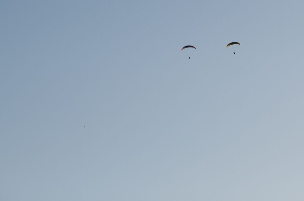 _D159608.jpg