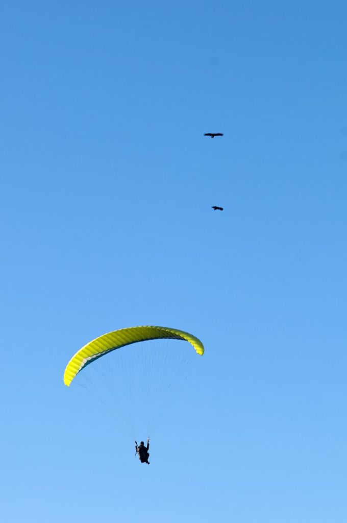 _D150465.jpg