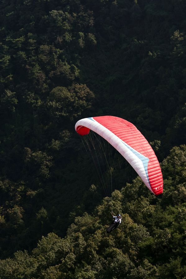 _D157975.jpg
