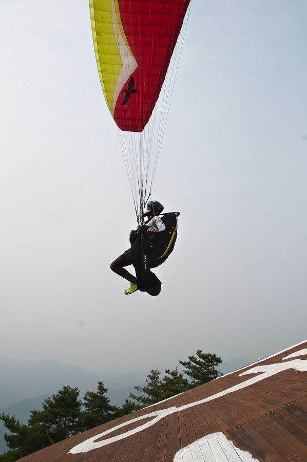 _D306495.jpg